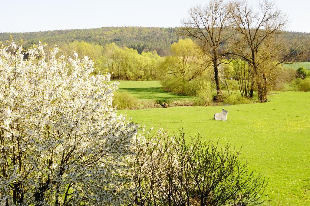 Gaestehaus Roensch Appartamento
